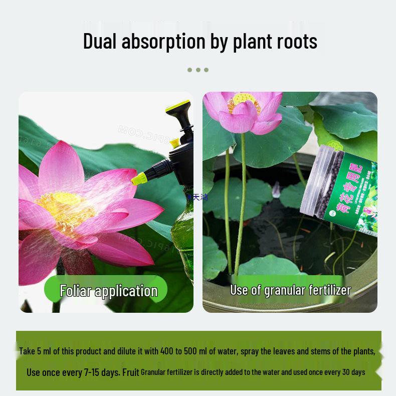 Lotus Nutrient Solution & Fertilizer for Hydroponic and Soil-Based Lotus Ponds and Bonsai Pots