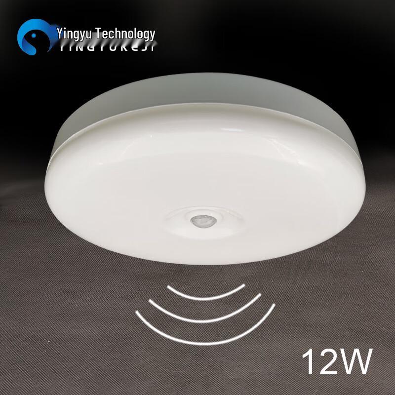 Yingyu Infrared Sensor LED Ceiling Light