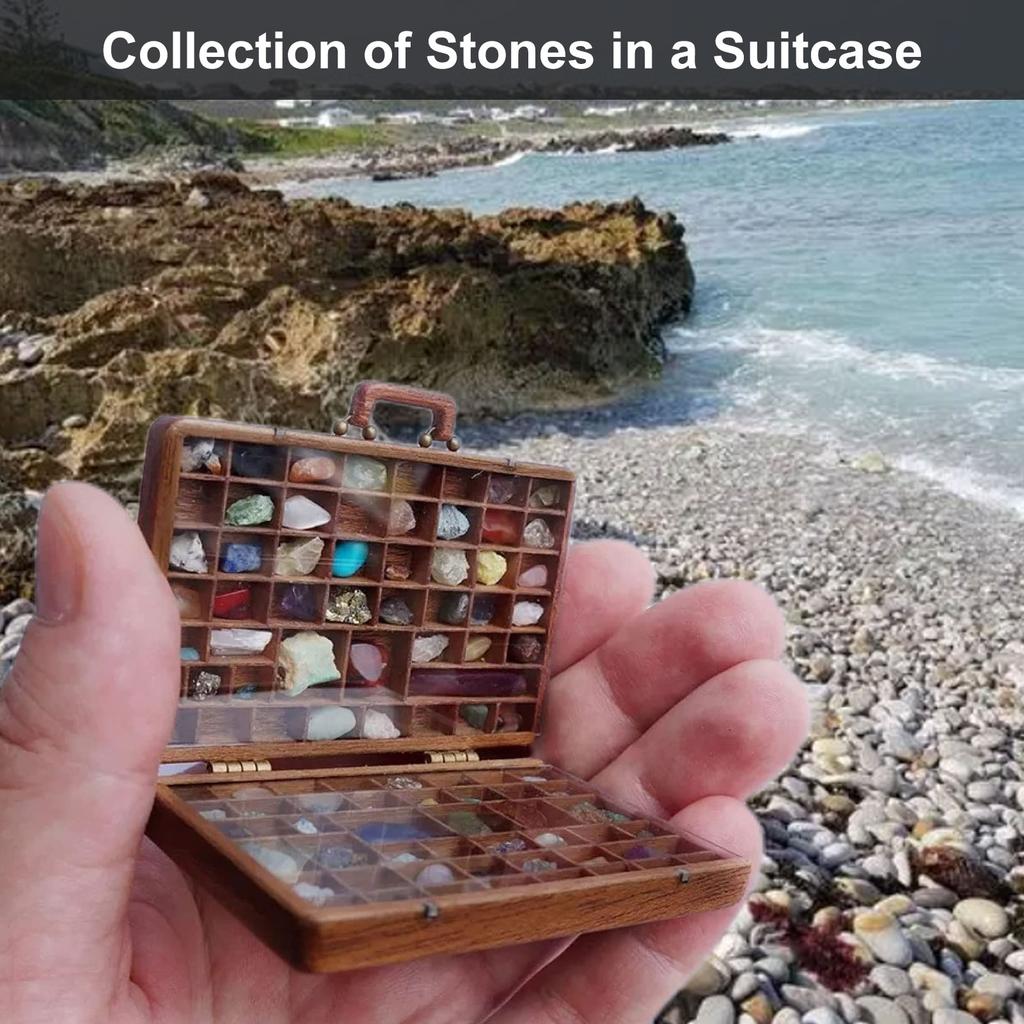 Rock Collection Box for Kids Wooden Storage Suitcase with 33 PCS Stone Educational Science Kits