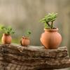 HANABASS 12 Pcs Mini Terracotta Pots 1.5 Inch Small Succulent Clay Pots for Plants Ideal for Home Decor, Craft Projects, and Party Favors, Desktop