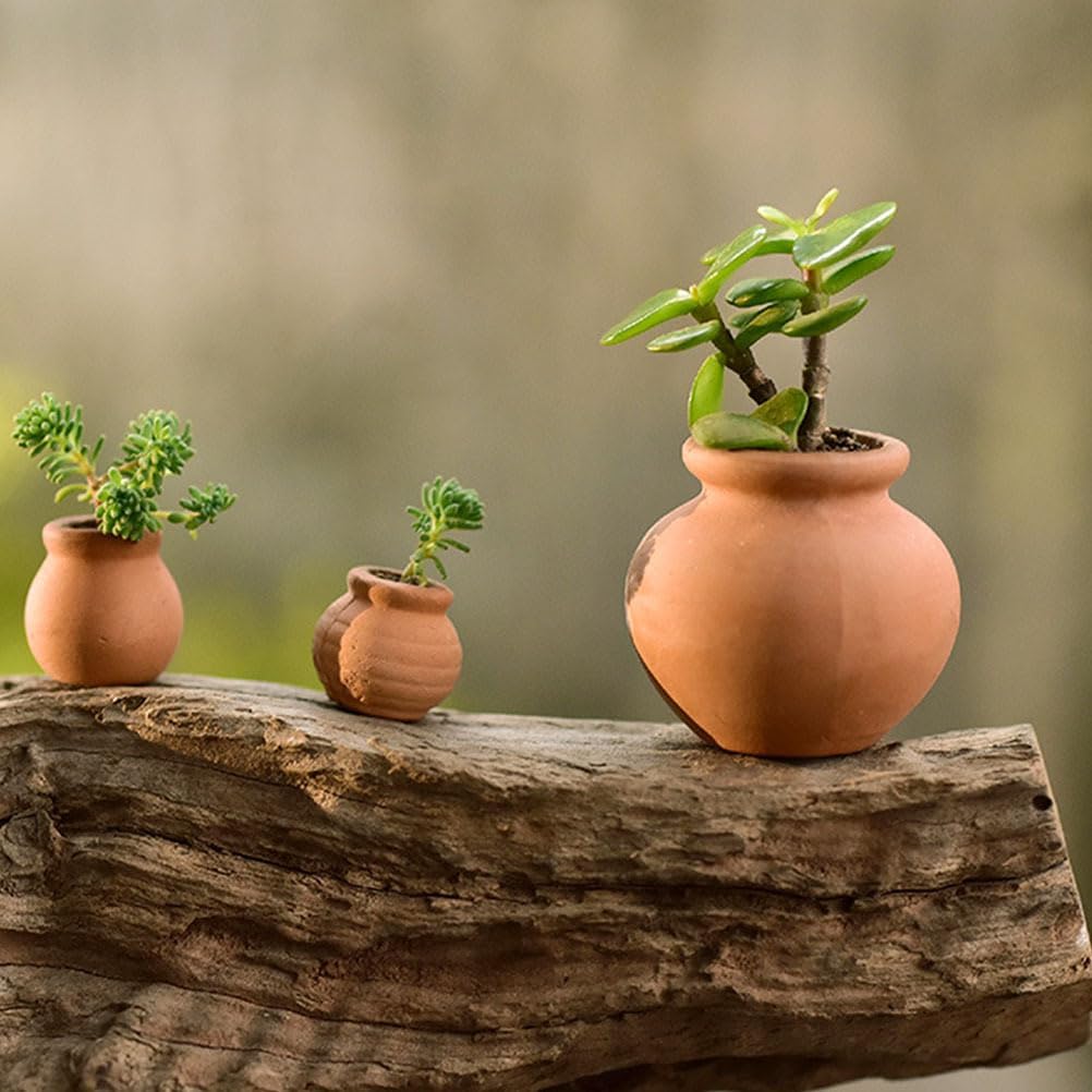 HANABASS 12 Pcs Mini Terracotta Pots 1.5 Inch Small Succulent Clay Pots for Plants Ideal for Home Decor, Craft Projects, and Party Favors, Desktop