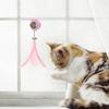 Toy with Suction Cup Wall-mounted Oral Health Protection Catnip Ball Cat Feather Toy