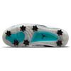 Jordan 4 Golf NRG Torrey Pines CZ2439-300