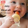 Silicone Baby Fruit Feeder & Teether