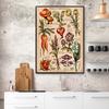 Affiche botanique sauvage Vintage, imprimés de plantes et de fleurs, décoration murale en toile, étude, peinture artistique éducative, cadeau, décoration de maison