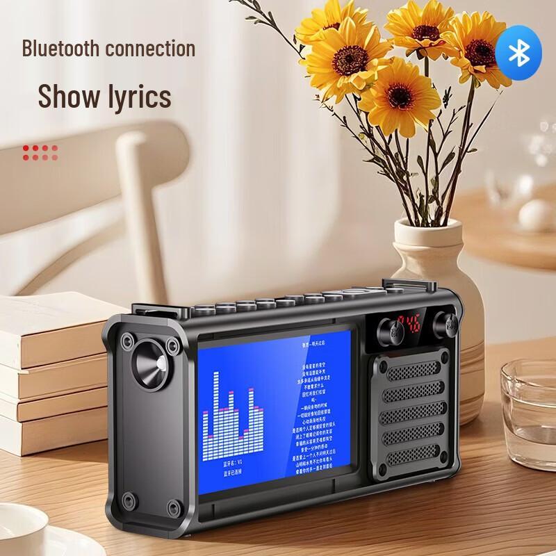 SAST Elderly Portable Multimedia Player with Display CN plug (adapter included)
