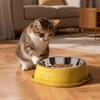 Noiseless Pet Water Fountain Anti-dry Burning Stainless Steel  Cat Bowl  Warm Stomach