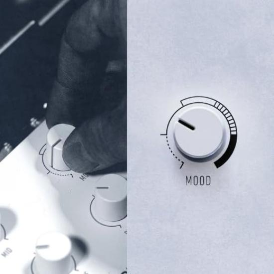 KERNOM RIDGE Effects Pedal Overdrive/Distortion