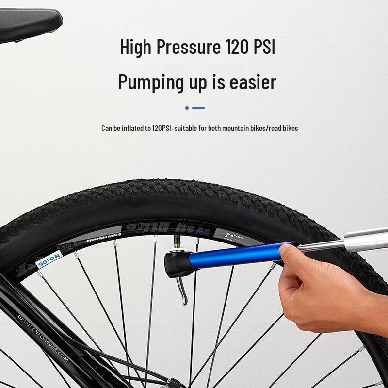 Lishi Convertible Bike Pump