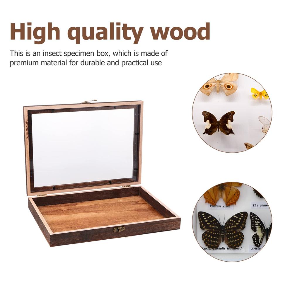 Cabilock 1-Piece Butterfly Specimen Display Case with Lid, Wooden Specimen Box