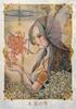 Fantasy Watercolor Oracle Cards Hoshi Kyoko 44 cards with Japanese commentary Artwork Message Yuki. [Genuine]