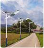 High-Power LED Solar Street Light: Waterproof, Super Bright, Ideal for New Rural Courtyards and Roads