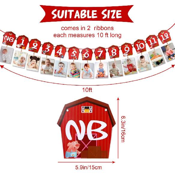 Farm Animal Theme Photo Banner 1st Birthday Monthly Banner Newborn To 12 Month Photo Display Milestone Photograph for Barnyard First Birthday Party