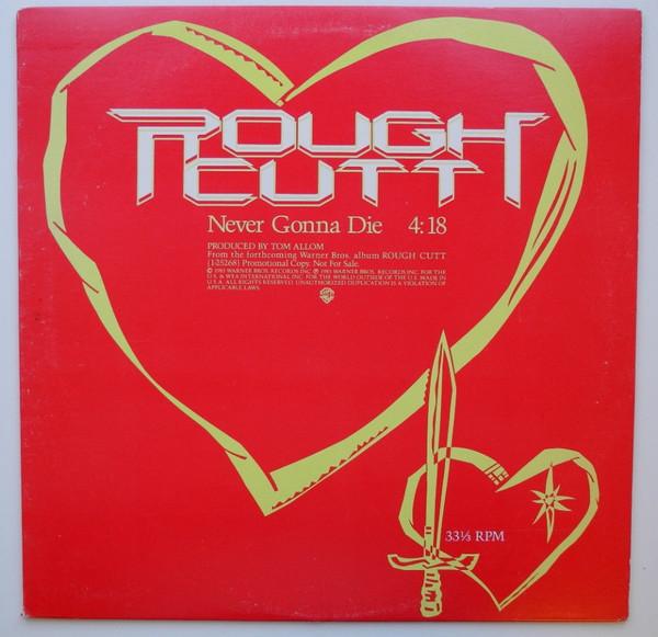 12-дюймовая пластинка ROUGH CUTT Never Gonna Die PROA2266 Warner Bros. Re 1985 US Rock Б/у