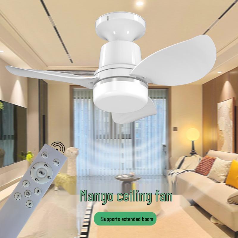 Большой трехлопастной бесшумный вентилятор-светильник с дистанционным управлением и цоколем E27 Lamp Holder F71