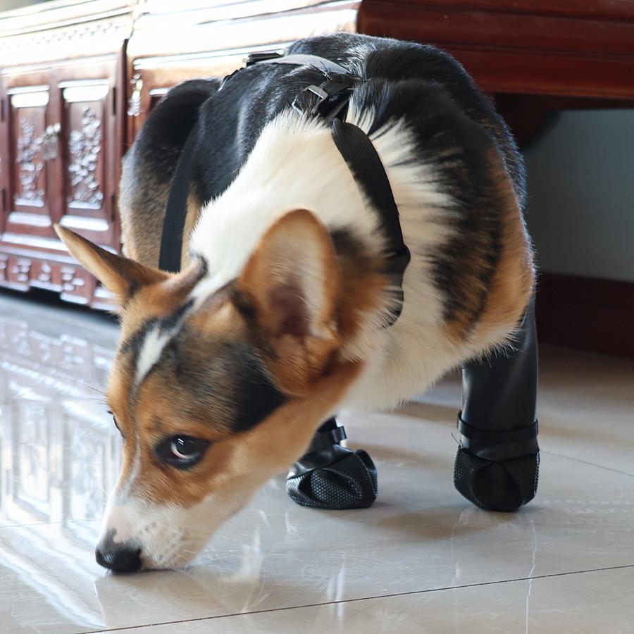 Dustproof Waterproof Pet Paw Protectors - All-Season Outdoor Dog Shoes