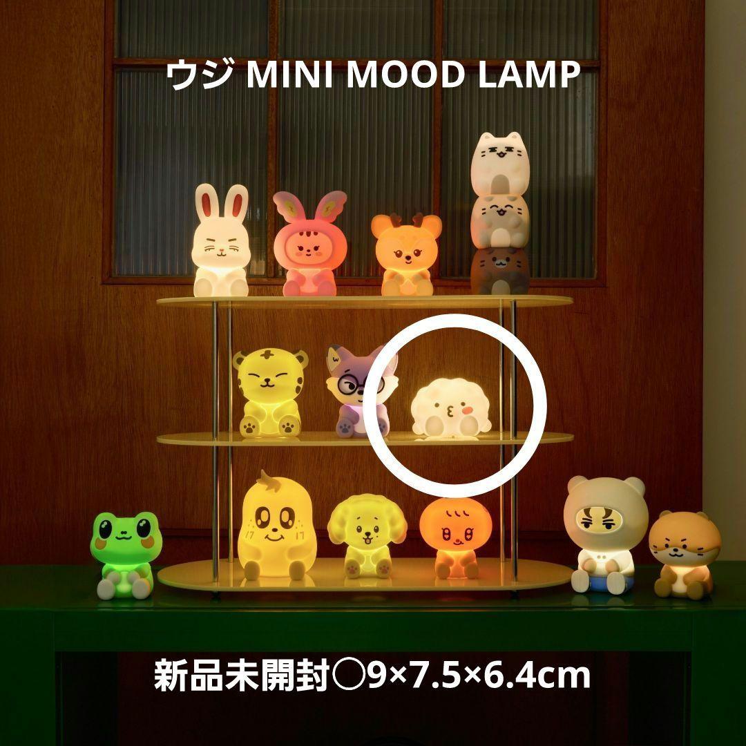 

[USED] MINITEEN Woozi Mini Mood Lamp Byopuri Mini Teen