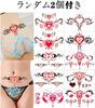 Anal cat collar with nipple anal anal nipple cosplay costume erotic adult lewd crest tattoo storage bag included plug, tail, ears, headband, bell,