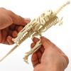 Dinosaur Skeleton DIY Toys Educational Puzzles Model Set For Kids Over 6 Years Old