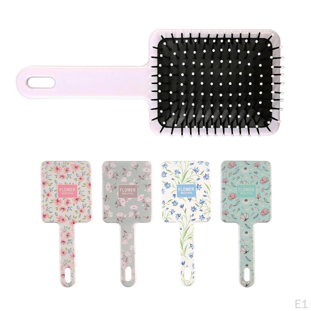 Spazzola Districante con Setole, per Tipi