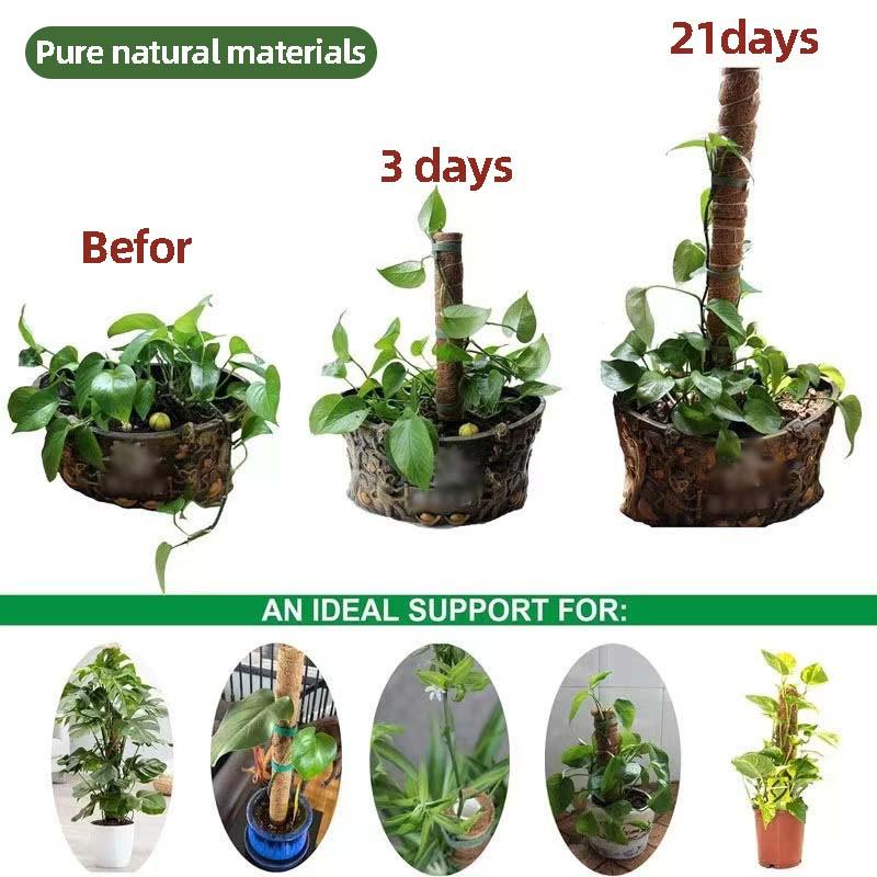 Plant Climbing Trellis Support Stakes Climbing Plant Support Stick Gardening Support Frame Flower Stand