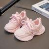 2025 Spring New Girls Sneakers Mesh Breathable Medium and Older Children's Daddy Shoes Korean Version Versatile Princess Style