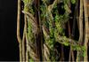 Artificial Green Plant Vines for Indoor Decoration - Forest Style Biomorphic Landscaping Tree Vines