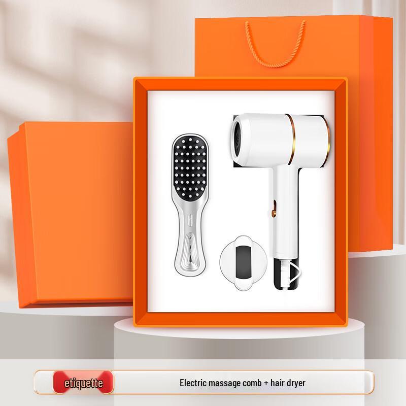 Shangqi Hair Dryer & Massager Gift Set