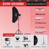 GVM 300W LED Video Light Kit