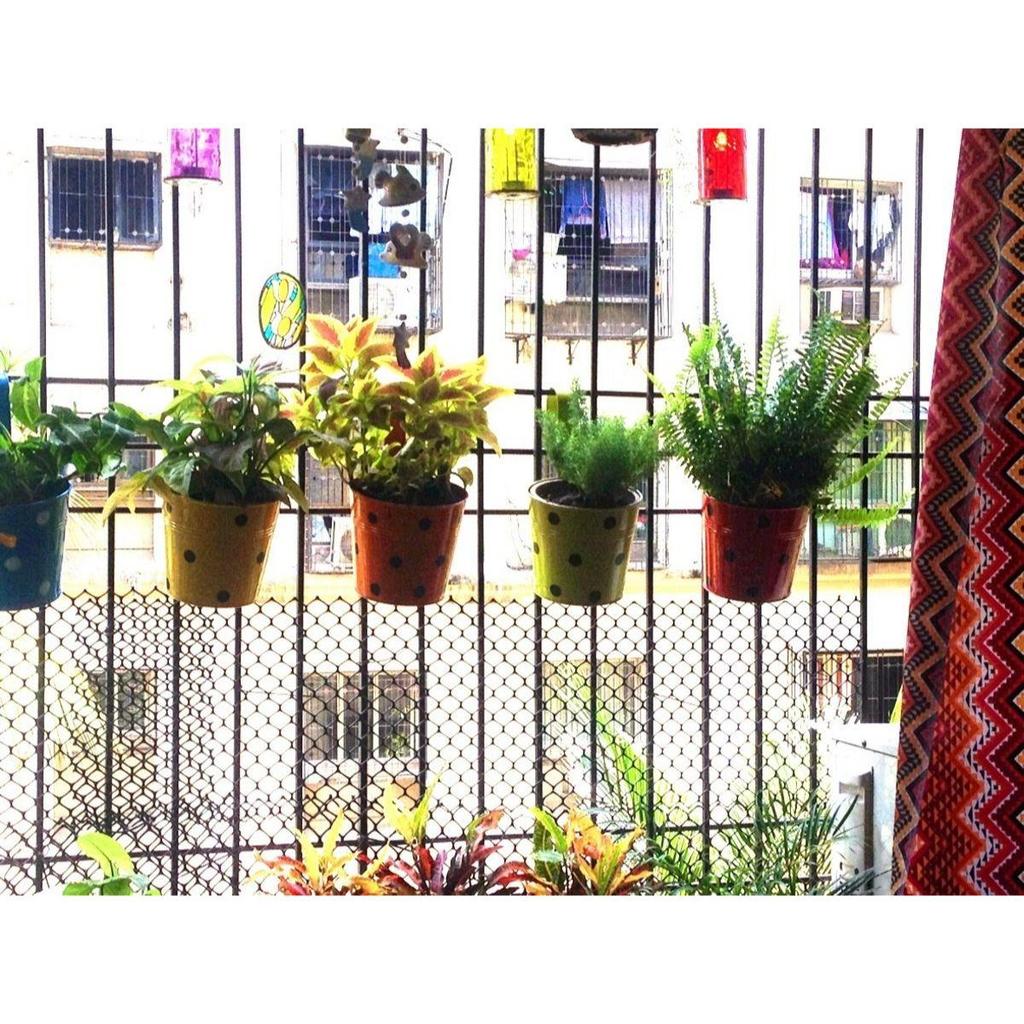 Set of 4 - Single Plant Railing Planters - Dotted Blue, Orange,Red,Green| Heavy Duty Highly Durable Plant containerGamla for Indoor Home Decor