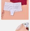 Perizoma di pizzo da donna taglia forte: Mutandine in Cotone Ultrasottili e Sexy per Stili Europei e Americani