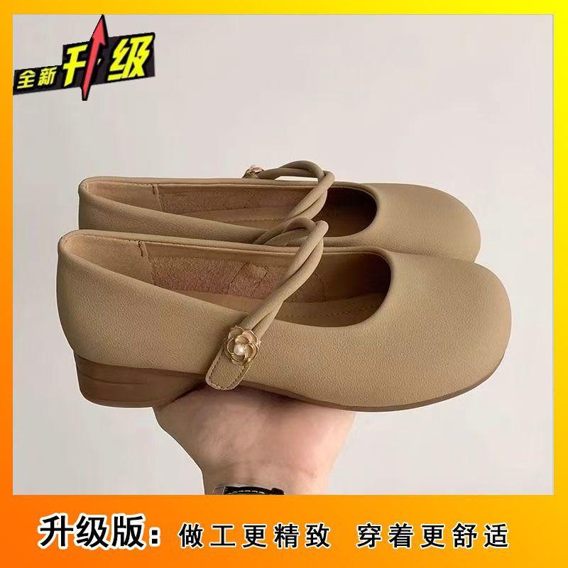 2025 New Spring and Autumn French Round Head Mary Jane Shallow Mouth with Skirt Soft Leather Single Shoes Women's Small Leather Shoes Thick Heel Shoes
