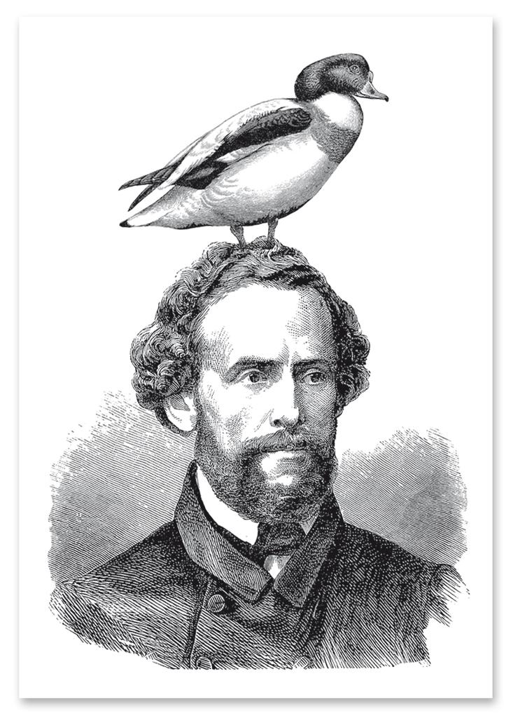 Portrait Poster with a Bird On the Head