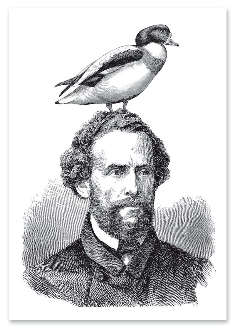 

Plakat portret z ptakiem na głowie 30x40 cm