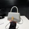 Autumn Shoulder Crossbody Handbag Niche Design Bag Women's New Personalized Small Square Bag