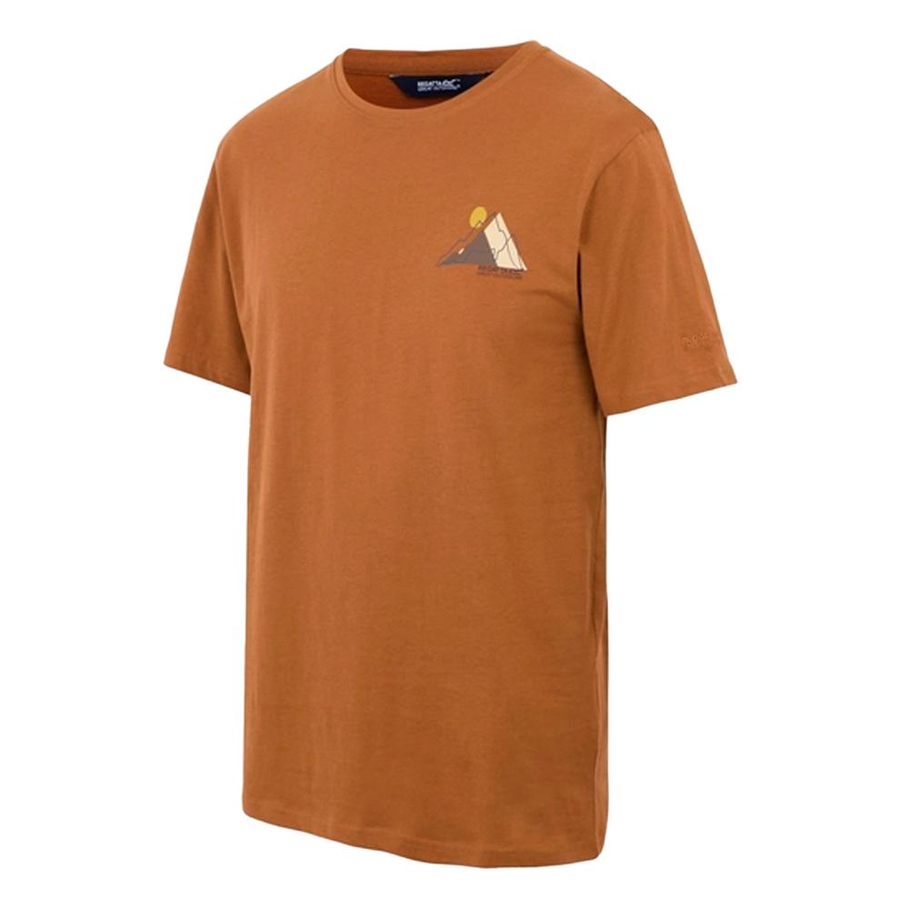 Regatta Mens Cline IX Mountain T-Shirt