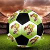Pettson and Findus Theme Size 5 Soccer Ball, Suitable for Both Indoor and Outdoor Matches, a Gift Suitable for Everyone.