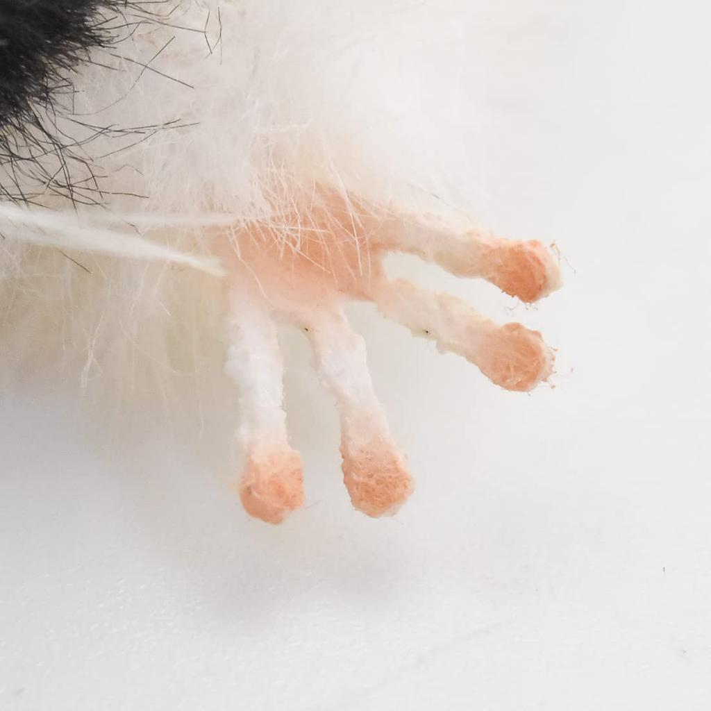 BH8139 HANSA Panda Mouse