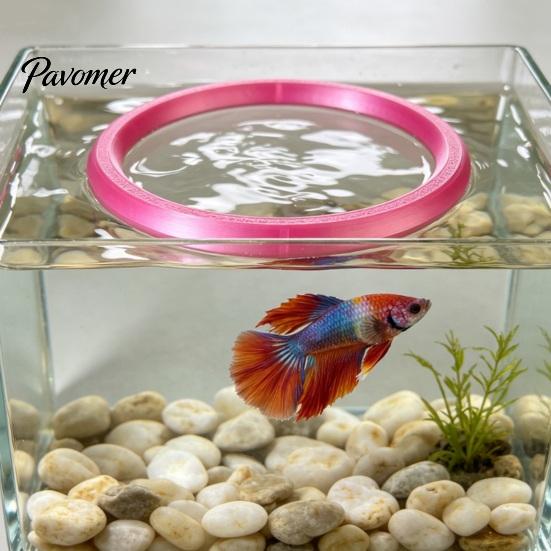 Aquarium Training Equipment 1/3Pcs Betta Fish Exercise Ring with Suction Cup, Interaction Toy Feeding Ring, Tank Enrichment Toy, Accessories Loop