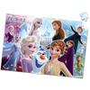 Tenyo [Made in Japan] Children's Jigsaw Puzzle Disney Frozen: The Bond Between Sisters 96 Pieces (26x38cm) Children's Puzzle DK-96-374 Antibacterial