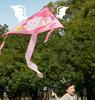 Childhood Kite Breeze Easy To Fly Cartoon For Children'S Play  New Handheld