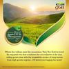 Tata Tea Gold 500gm Free Delivery