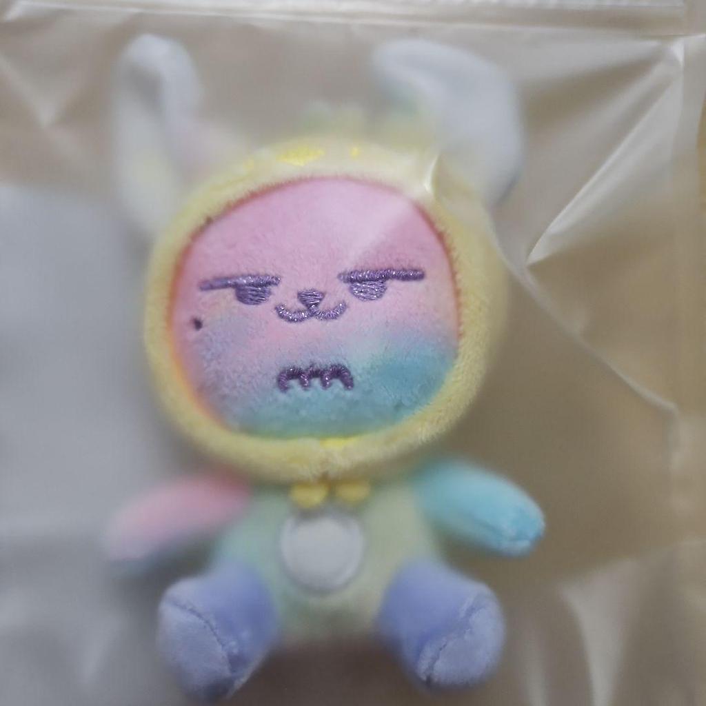 [USED] TXT Tuba Purbatu Rainbow Keyring Fanchun