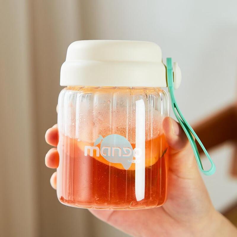 Bouteille d'eau portable en verre borosilicaté avec couvercle et poignée en corde