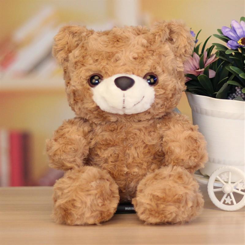 Graduation Teddy Bear In Doctor's Gown with School Emblem - Perfect for Graduation Gifts