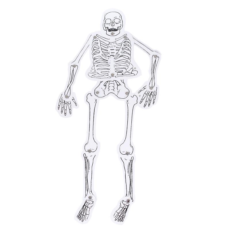 DIY Human Skeleton Model Kit for Kids - Science & Tech Educational Toy 60x50x55