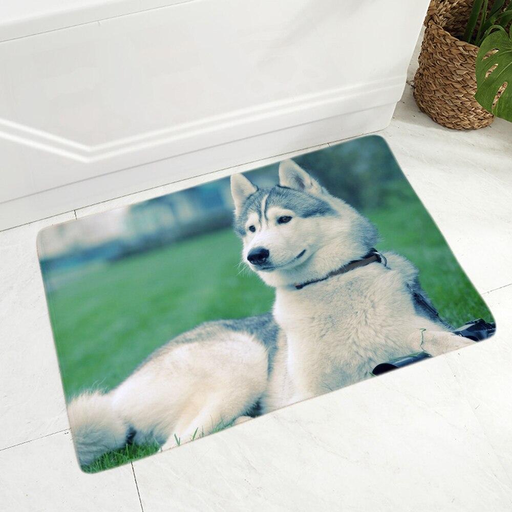 husky dog door