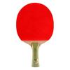 Double Happiness Table Tennis Racket Set: Beginner and Student 2-Pack with Types I, II, III for Children
