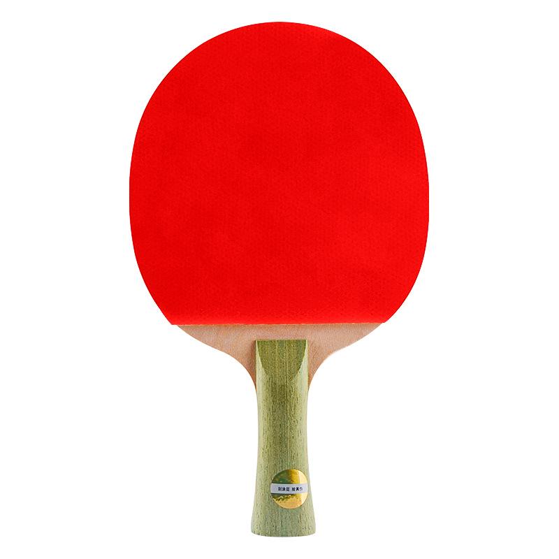 Double Happiness Table Tennis Racket Set: Beginner and Student 2-Pack with Types I, II, III for Children