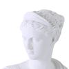 Head Statue Bust Resin Greek Mythology Nordic Art Decor Sculpture